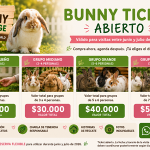 Bunny Ticket Abierto Bunny Village The Rabbit World visitas educativas con conejitos rescatados para grupos de 1 a 8 personas válido junio y julio 2026
